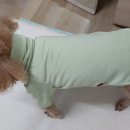 BYC매장앞 이미지