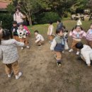 솔숲어린이집 이미지