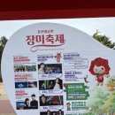 울산 대공원 장미 축제(장미원)후기 (feat. 주차, 티니핑, 사물함, 푸드트럭)