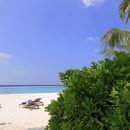 파레스호텔 이미지