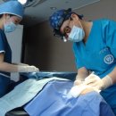 조안영의원 이미지