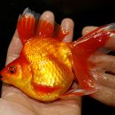 채형농장 이미지