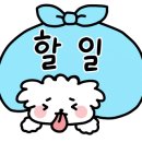언니네네일 이미지