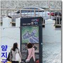 양지국밥
