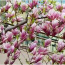 묵정어린이공원 이미지