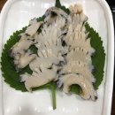 맘보횟집 이미지