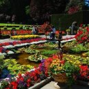 낮은정원 이미지