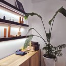 귀비스킨케어 | 바른얼굴 정안 강남에스테틱 강남체형교정 비대칭교정