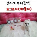 도그조아 이미지