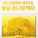 황금나무 티스토리