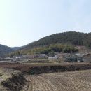 우치리경로당 Daum카페