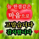 뷰티드엘 - 포항시 북구 법원로63번길 22 | 뷰티드엘