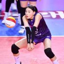 도약체육관 | 배구동호회 게스트 참여 후 가입 완료! 취미 배구 2회차 참여 후기!!