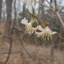 화산공원 이미지