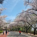 두류공원 스케이트장 이미지