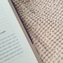 남부순환로1602 | 서울 혼자놀기 추천 샤로수길 북카페 소문의 소문