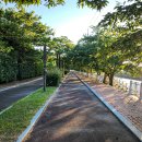 남해스포츠파크 테니스장 이미지