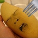 쌍둥이 게스트 하우스 이미지