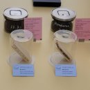 백현로144번길 이미지