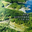 국보산삼오리 | 울산 태화강100리길 2구간 22km을 따라 역사문화 트레킹을 하다 - 울산대곡박물관, 대곡댐, 천전리각석...