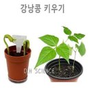 두현과학 이미지