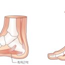 이수진한의원 이미지