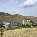 약천 산책로 이미지