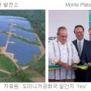 민영 태양광발전소 이미지