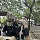 골프아카데미"We" | 조호바루 명문 골프 포레스트 시티 골프 클럽 레가시 코스 라운딩 후기 예약 방법 할인쿠폰 골프존...