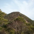 [광주 서구]금당산(304m) 다녀오기(2013/3/1/금 오후) 이미지