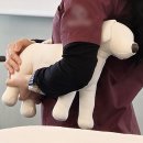 보정동물병원 이미지