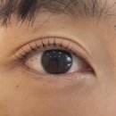 유이프 브로우 네이버블로그