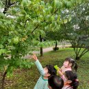 온숲어린이집 이미지