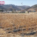 세성초교 병설유치원 이미지