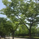 인천대공원(썰매장입구) 이미지