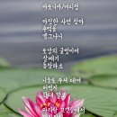 ♧적막한 시간(아로니아)♧ 이미지