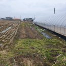 쉽게 배우는 스마트폰 사진 편집 이미지