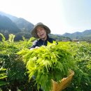 해오름농장-3 이미지