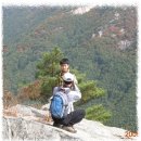 이리오시요 이미지