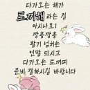 12월 29일 목요일ㅡ오늘보내고 내일지나면ㅡ송구 영신을ㅡ보게됩니다ㅡ 이미지