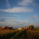 보리농장 이미지