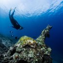 영어여행회화 이미지