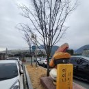 아이니분식 | 대구 실내 아이와가볼만한곳 월드큐브 롤러장
