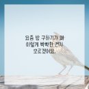 토박이공인중개사사무소 네이버블로그