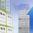 살집