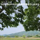 6월4일(일요일) 화천산소길 자전거여행(춘천역09시00도착 1번게이트) 이미지