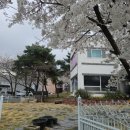 유달산주차장식당 이미지