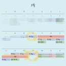 온더볼운동 | 스위치온 다이어트 -9.3kg 유지기 4주차 급찐급빠 식단 운동 후기