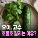 고수라김밥 이미지