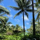 럭키샷 당구클럽 | 인터컨티넨탈 푸꾸옥 롱비치 리조트 클럽라운지, 조식, 룸 후기